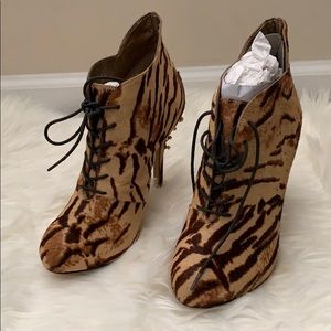 Come here Tiger 🐯